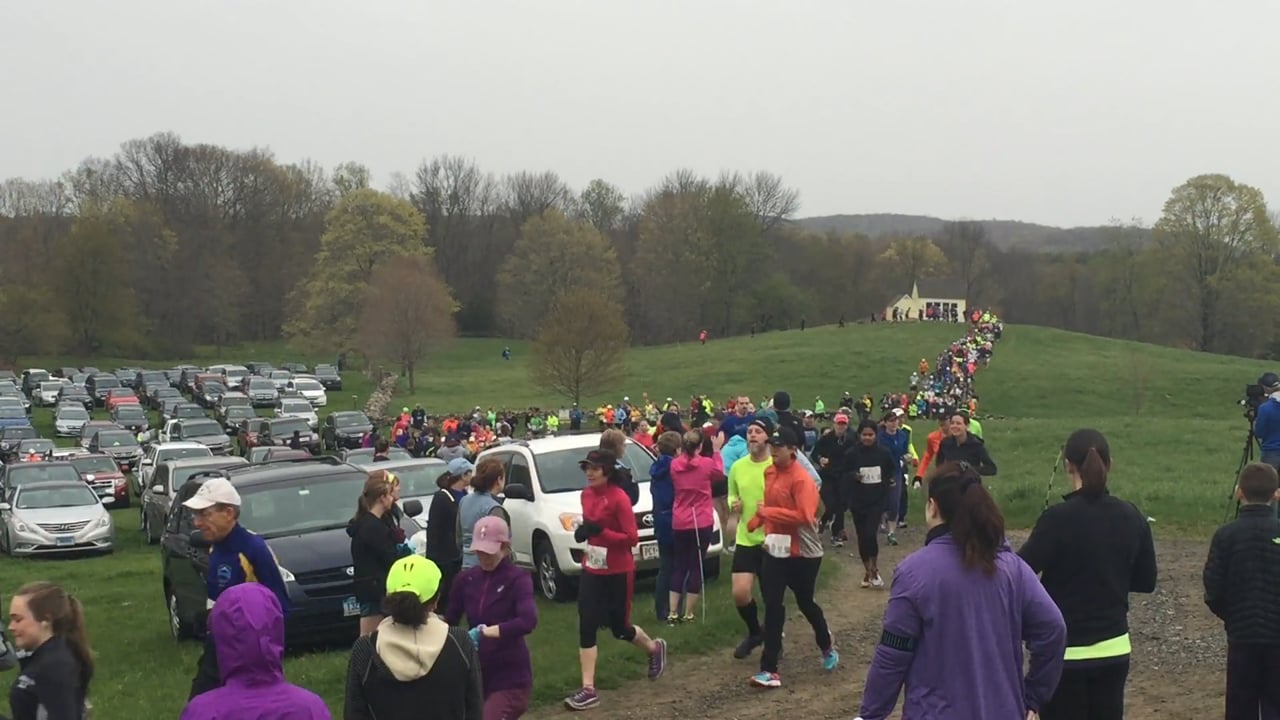 2016 Run For The Cows Sponsored by goneforarun.com