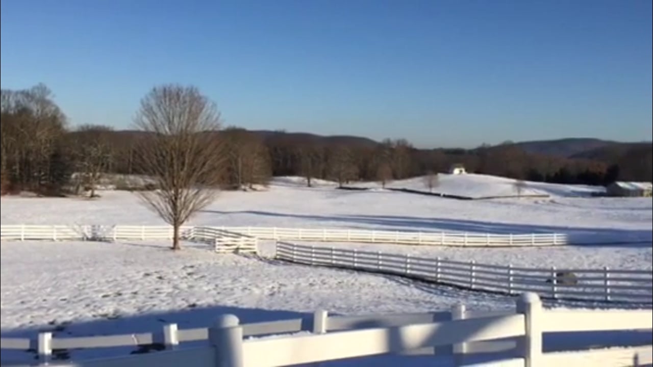A winter morning at New Pond Farm