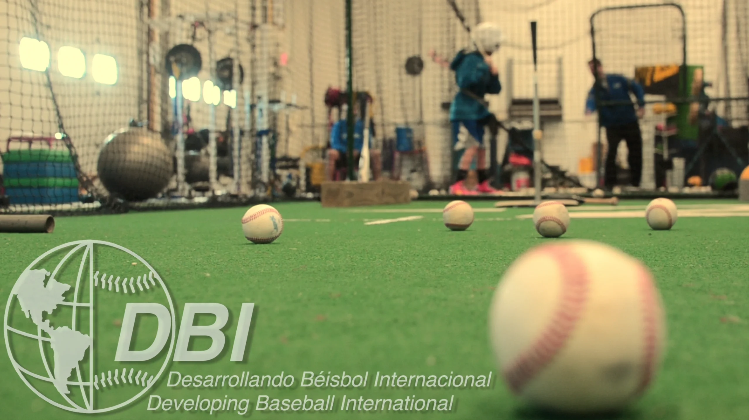 DBI Baseball/Softball Training logo