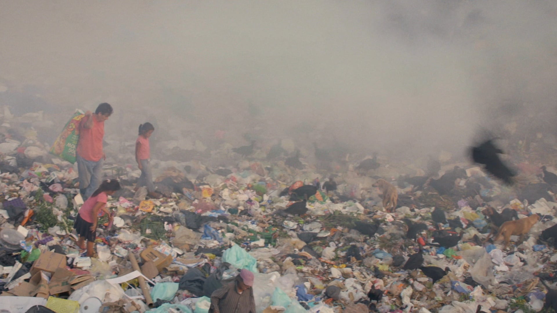 After the American Dream - TEASER