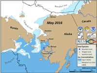 Animation of Seal Locations and Sea Ice in 2016