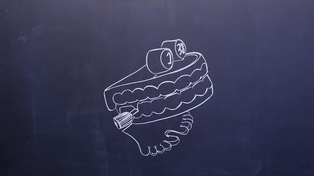 Animation Hotline: Meaning (#201)