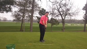 Face Control With The Wedges