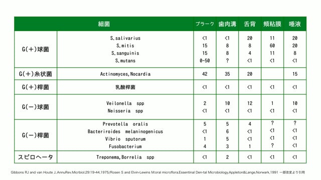 【Education Library】プラークの基礎知識