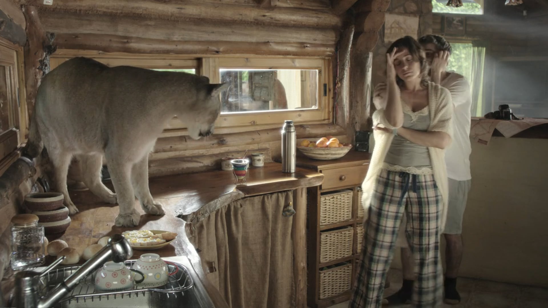 Movistar Puma