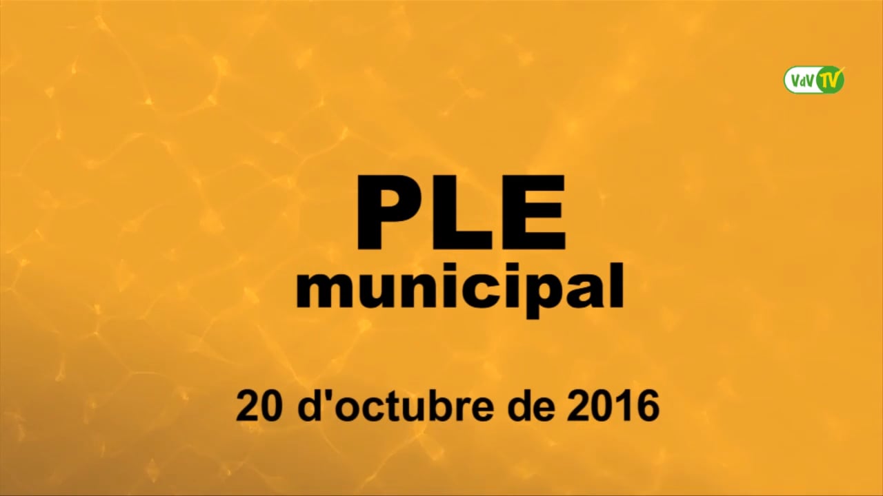 Ple municipal 20 d'octubre de 2016 - punt1