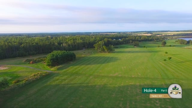 Hole 4