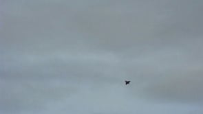 UFO Folder