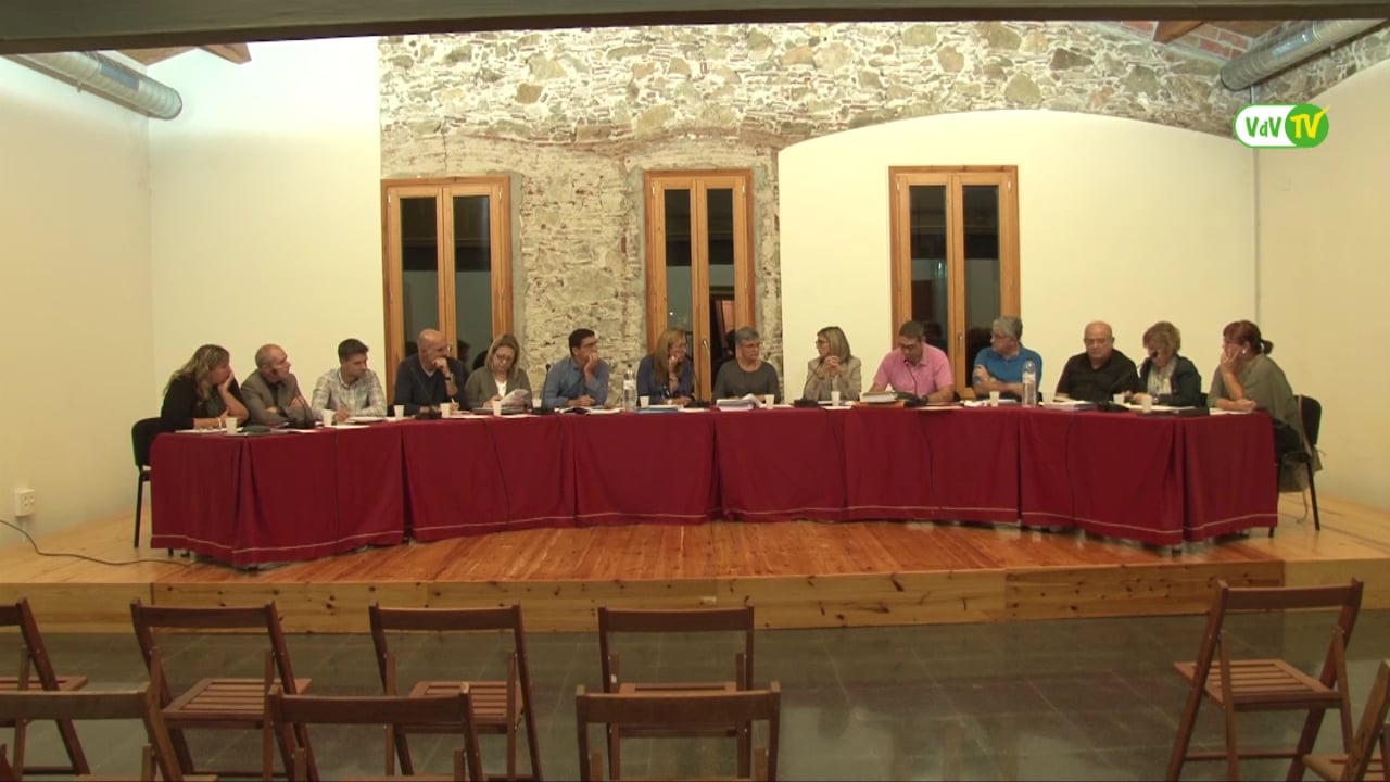 Ple municipal 29 de setembre de 2016 punt3