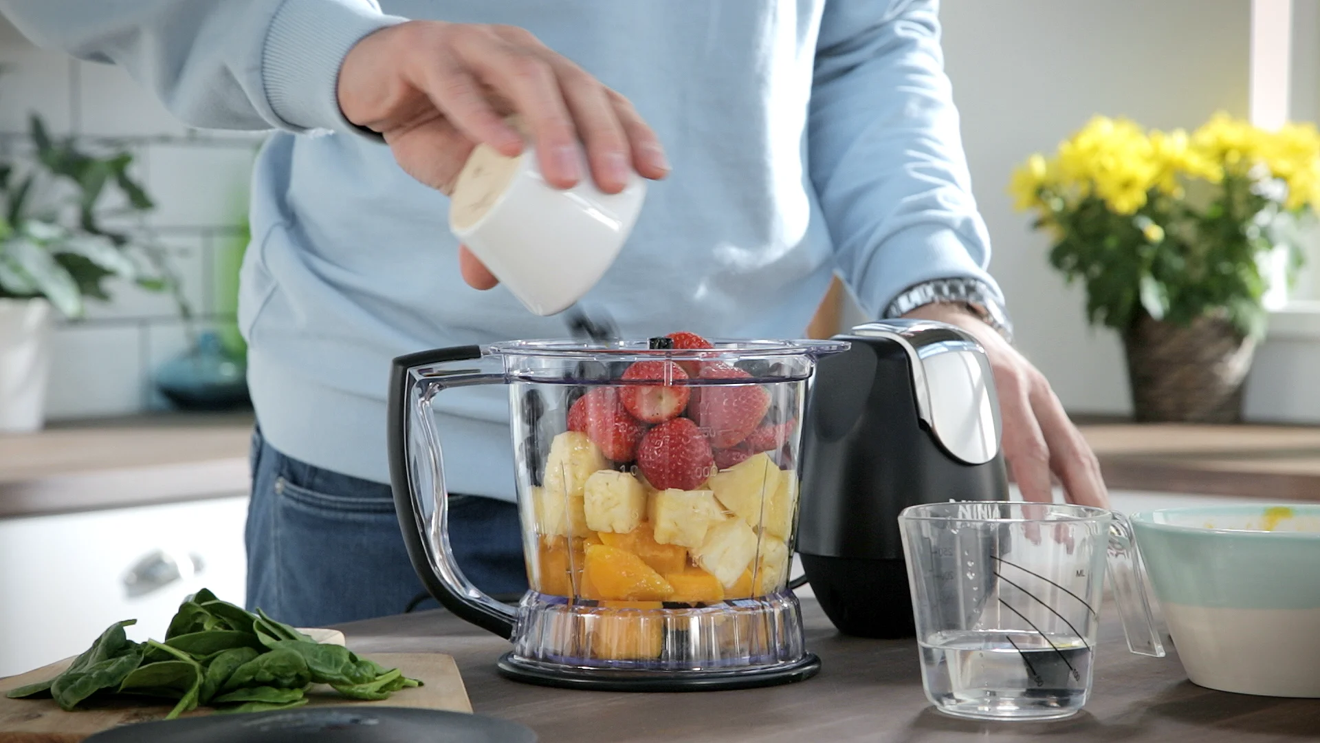 Ninja Master Prep Advantage Chopper 500W - QB800UKCR - ninjaGB