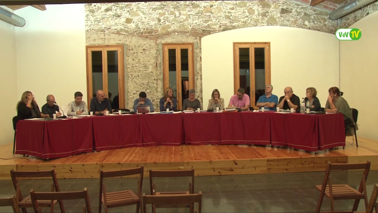 Ple municipal 29 de setembre de 2016 -  punt4