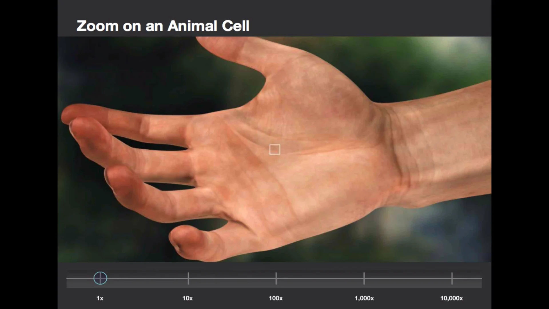 x cell zoom