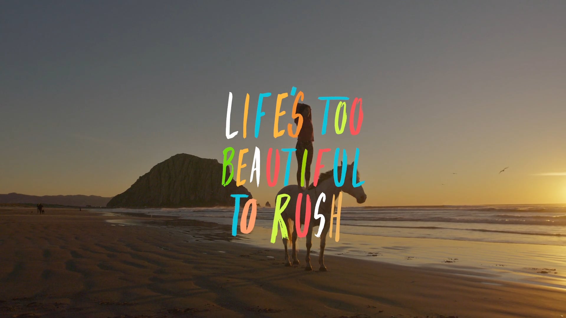 Life's Too Beautiful to Rush