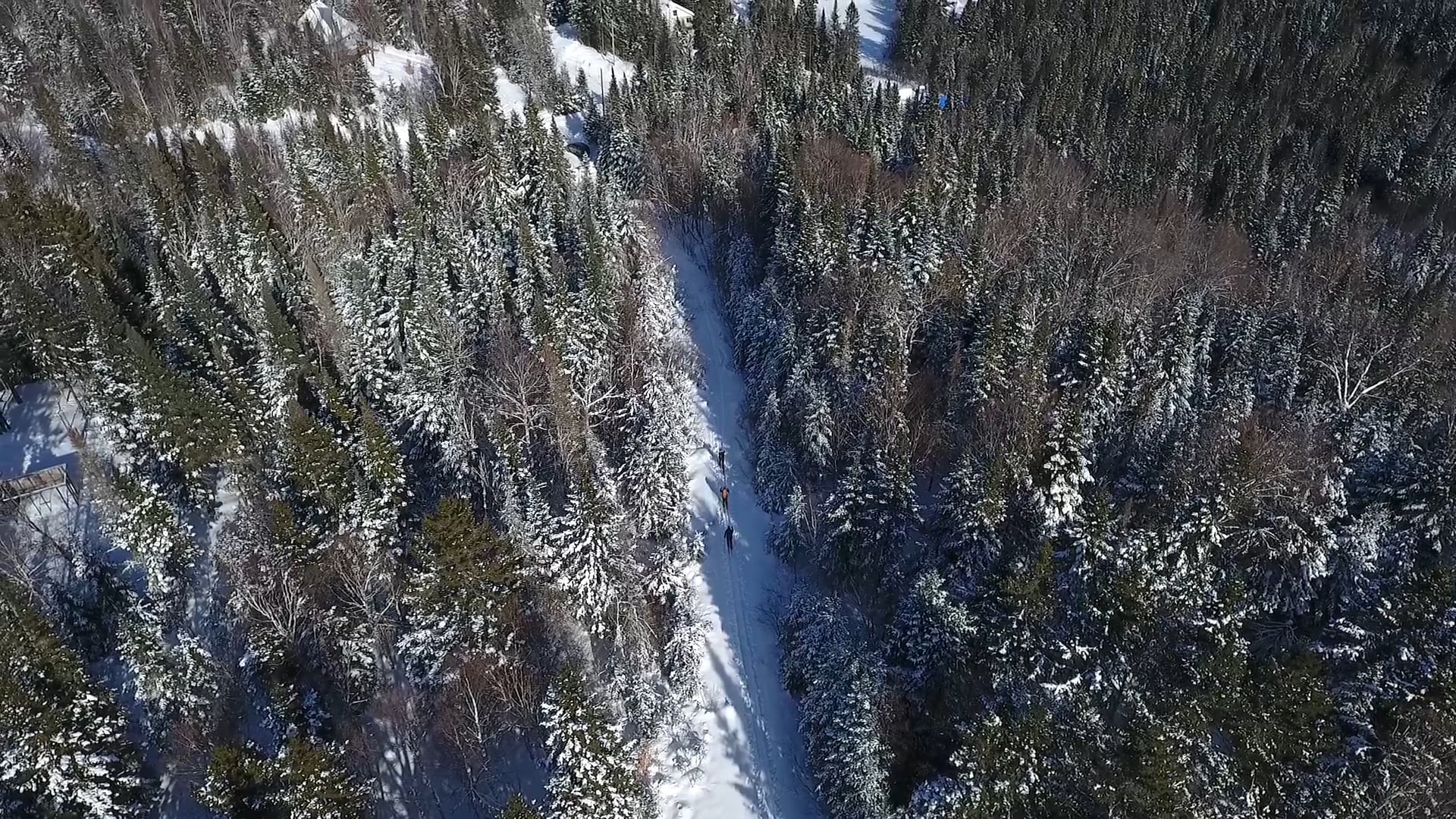 X-Country Ski