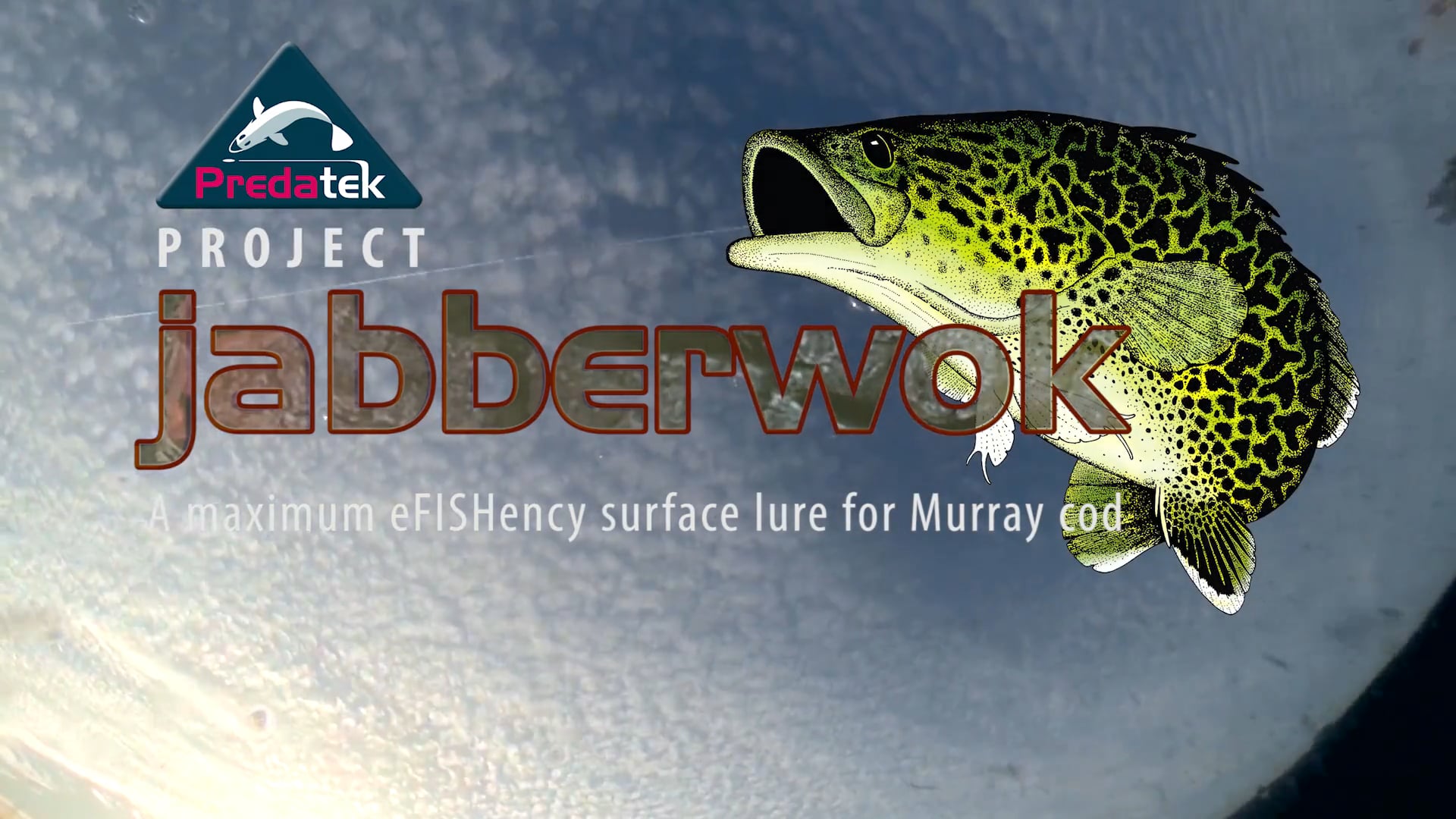 Development of an innovative lure