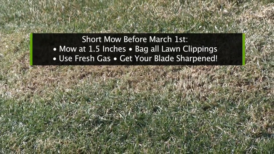 Tips from Toby – The February Short Mow