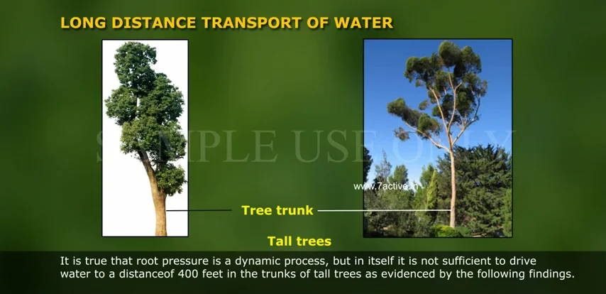 LONG DISTANCE TRANSPORT OF WATER PART 03 on Vimeo