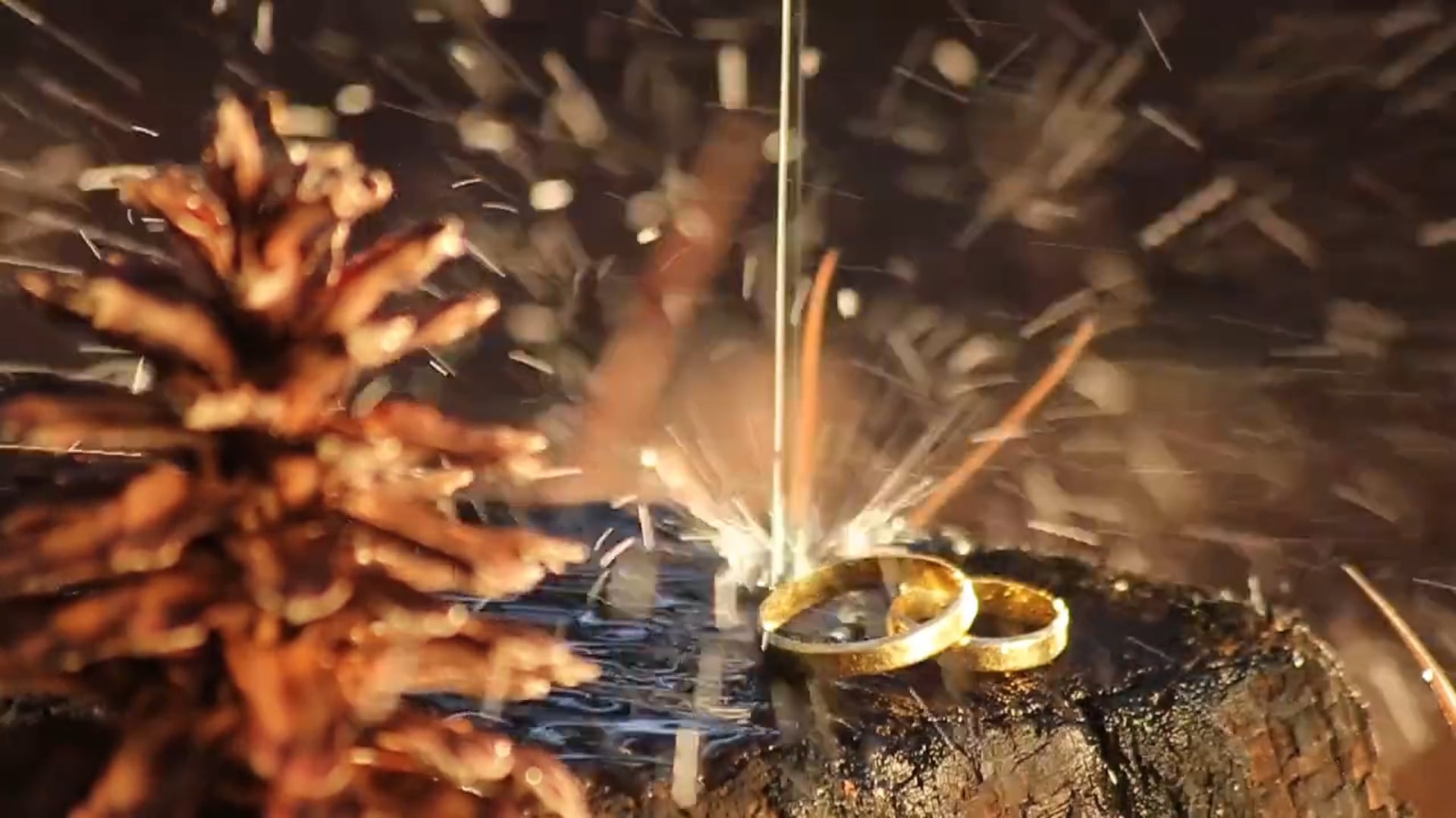 Save the Date :: Eliany & Luciano