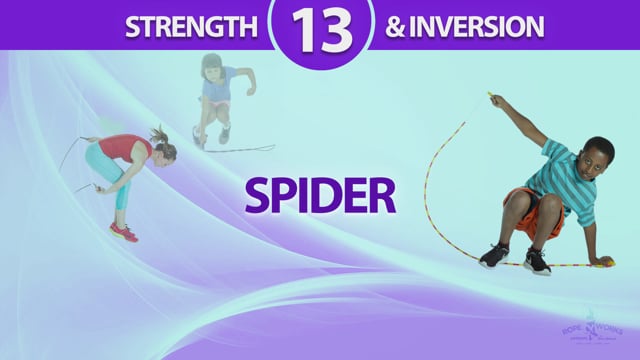 SPIDER
