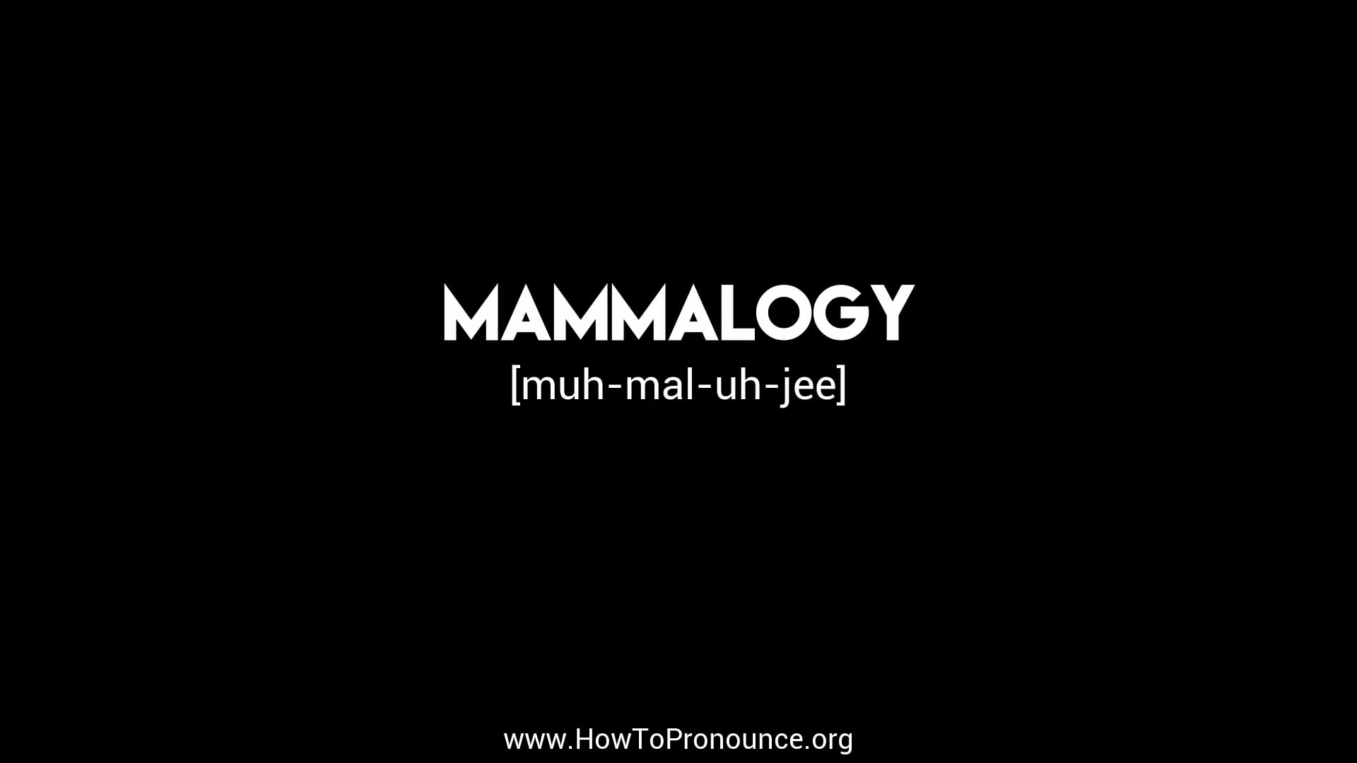 how-to-pronounce-mammalogy-on-vimeo