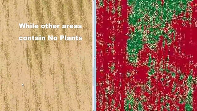 Crop Scouting - Visible + VARI