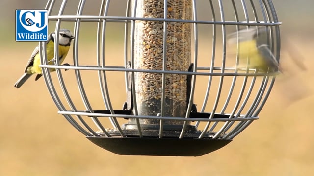 CJ Wildlife Athena Feeder