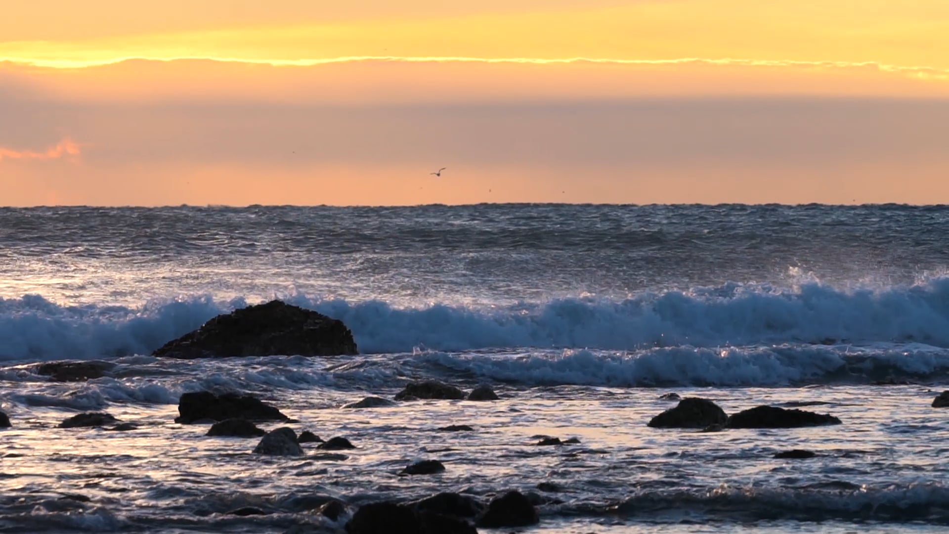 TWO WINTER WAVES - Presented by HAV surfboards