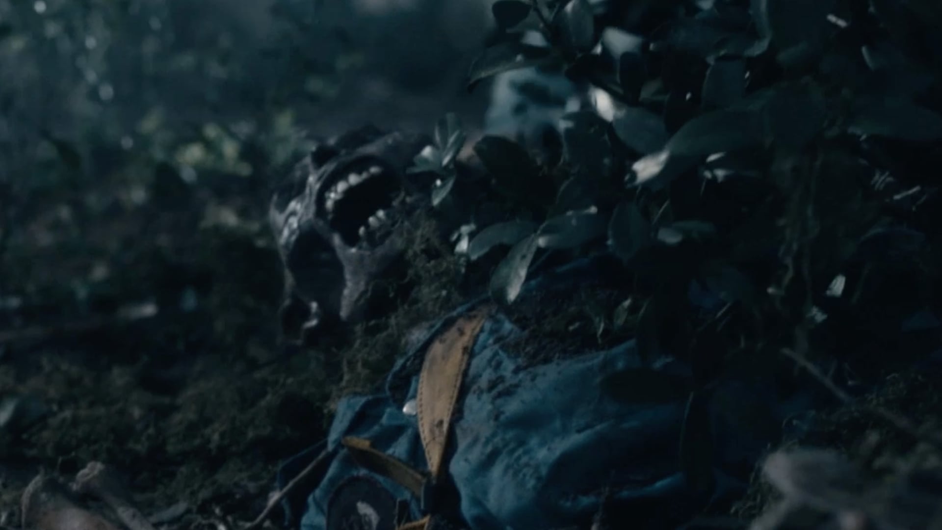 SKOL | AGUSTIN ALBERDI | LANDIA | F/NAZCA