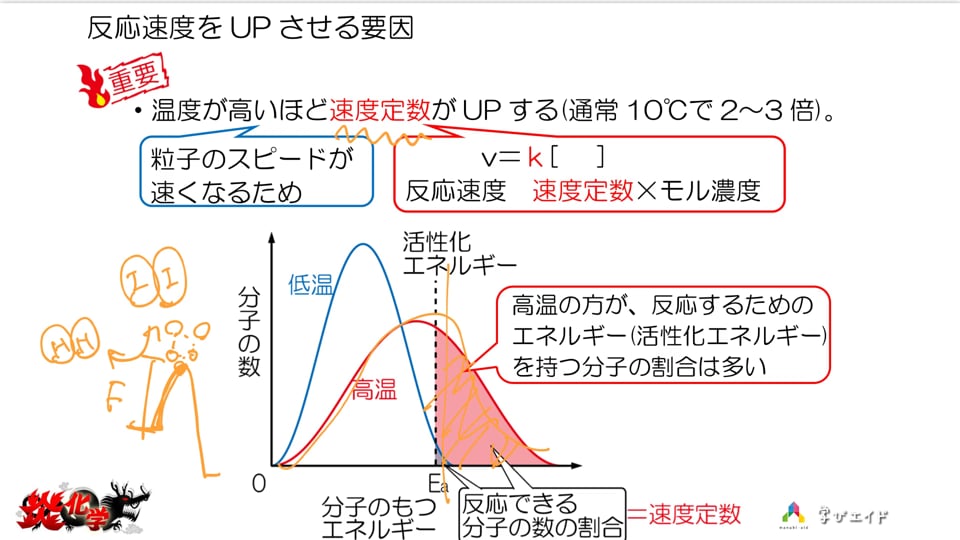 76.活性化エネルギー みかみ 一桜