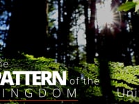 God's Big Picture Unit 1: The Pattern of the Kingdom