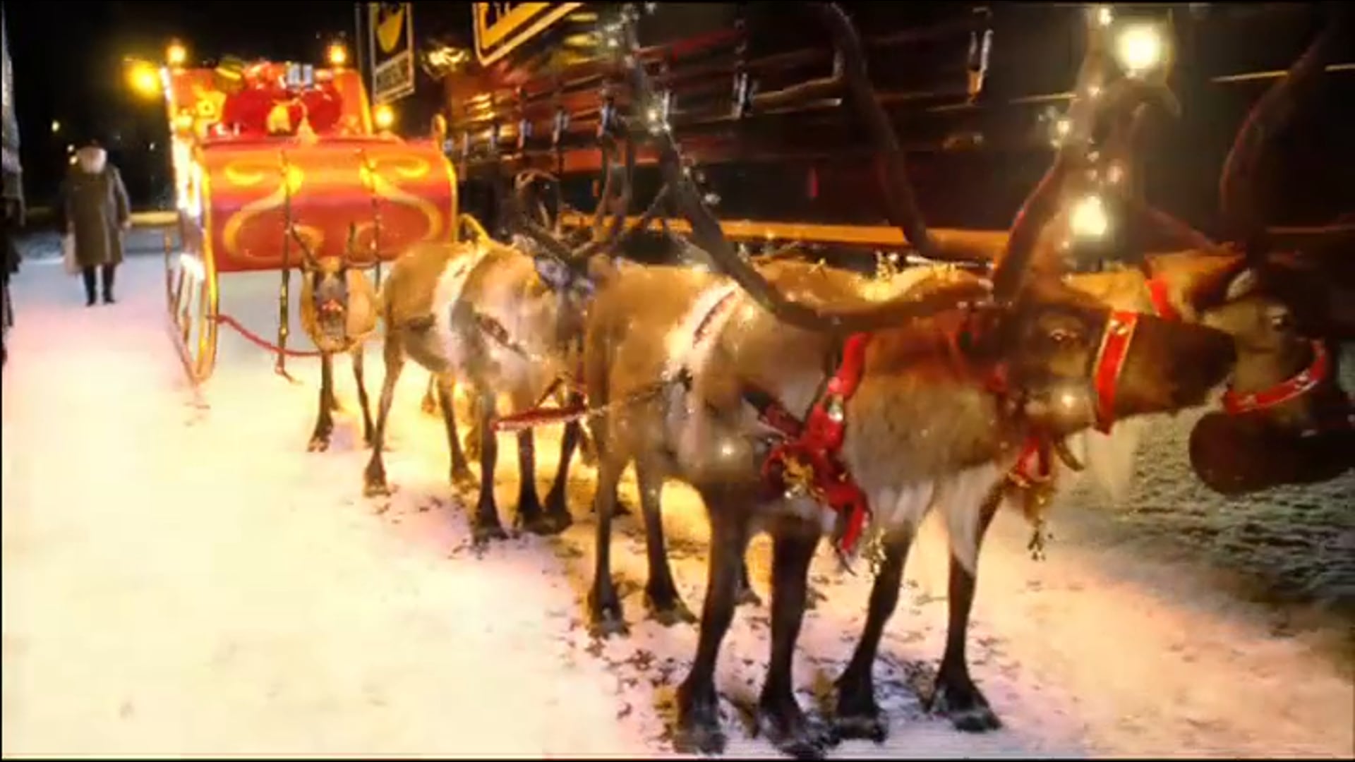 MORRISONS - Christmas