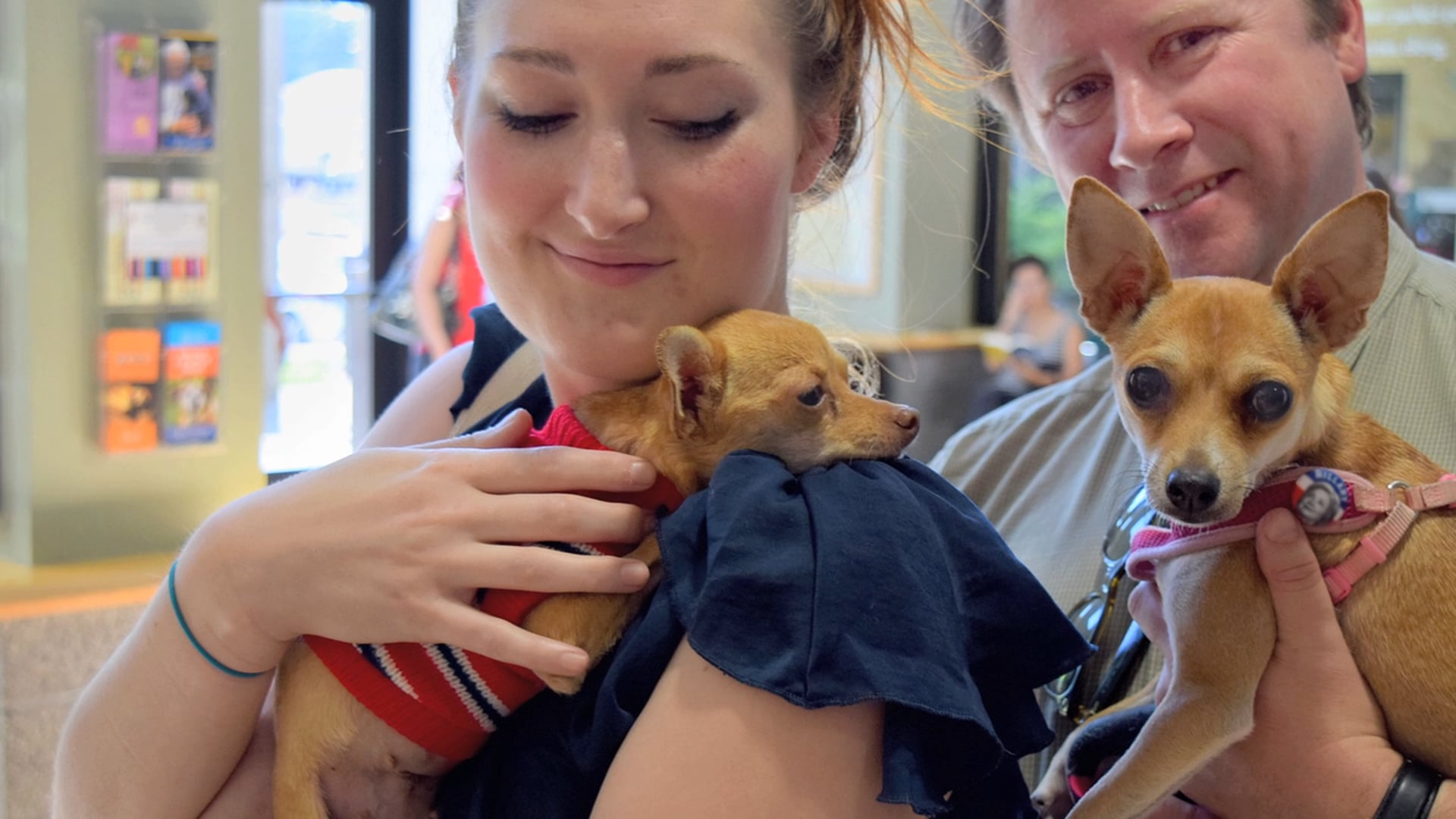 2017 Oregon Humane Society - Diamond Collar Award - Eevee