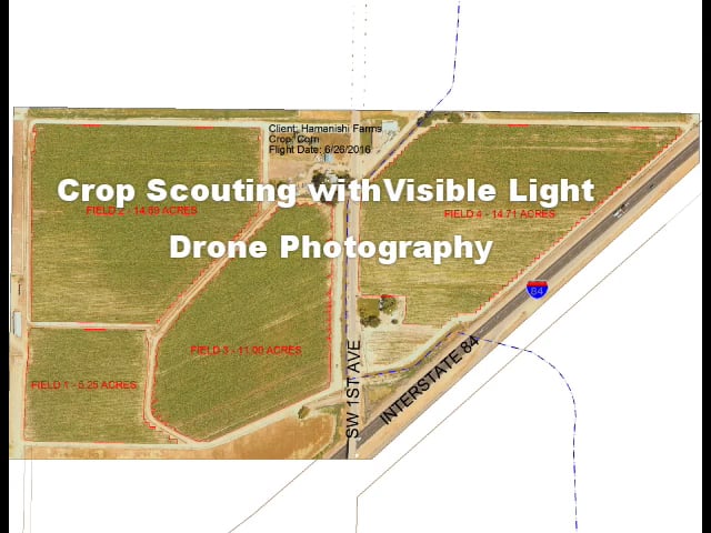Crop Scouting - Visible Light