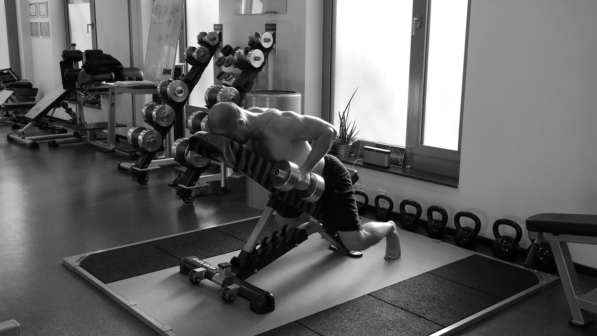 12 Weeks Body Transformation Chest Supported 2Arm DB Row Neutral