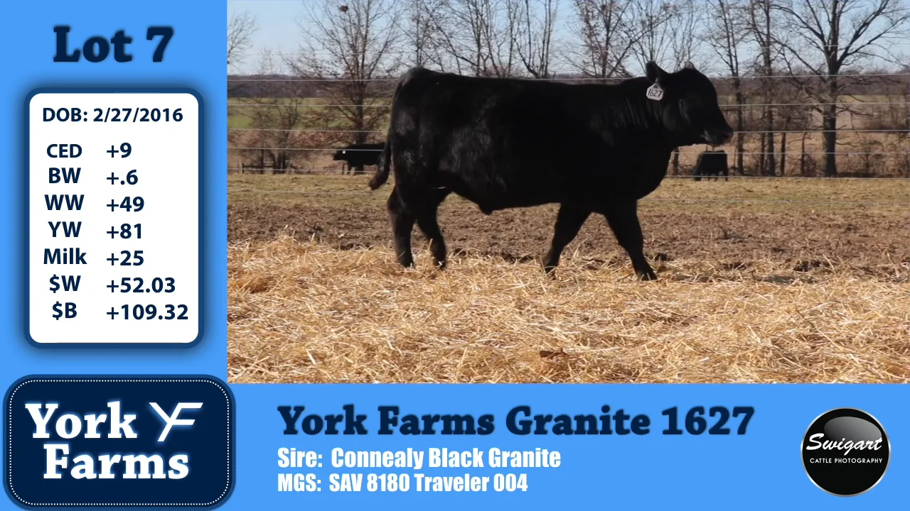 York Farms Lot 7 on Vimeo