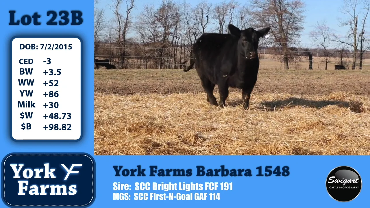 York Farms Lot 23B on Vimeo