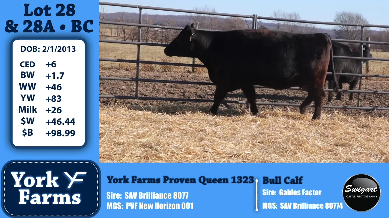 York Farms Lot 28 & 28A on Vimeo