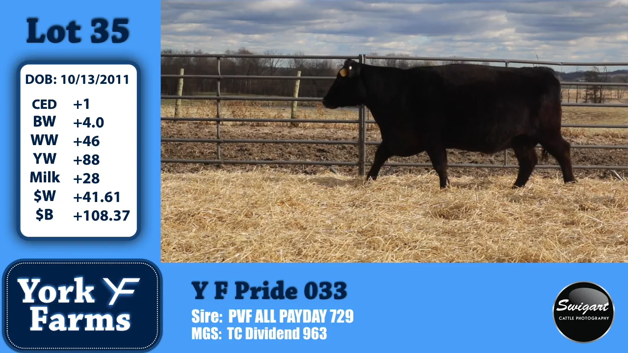 York Farms Lot 35 on Vimeo