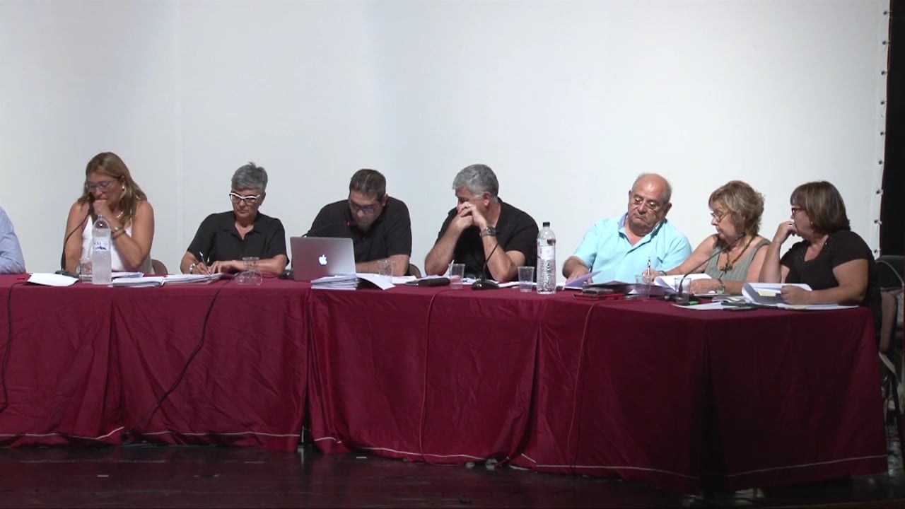 Ple municipal 28 de juliol 2016 punt3