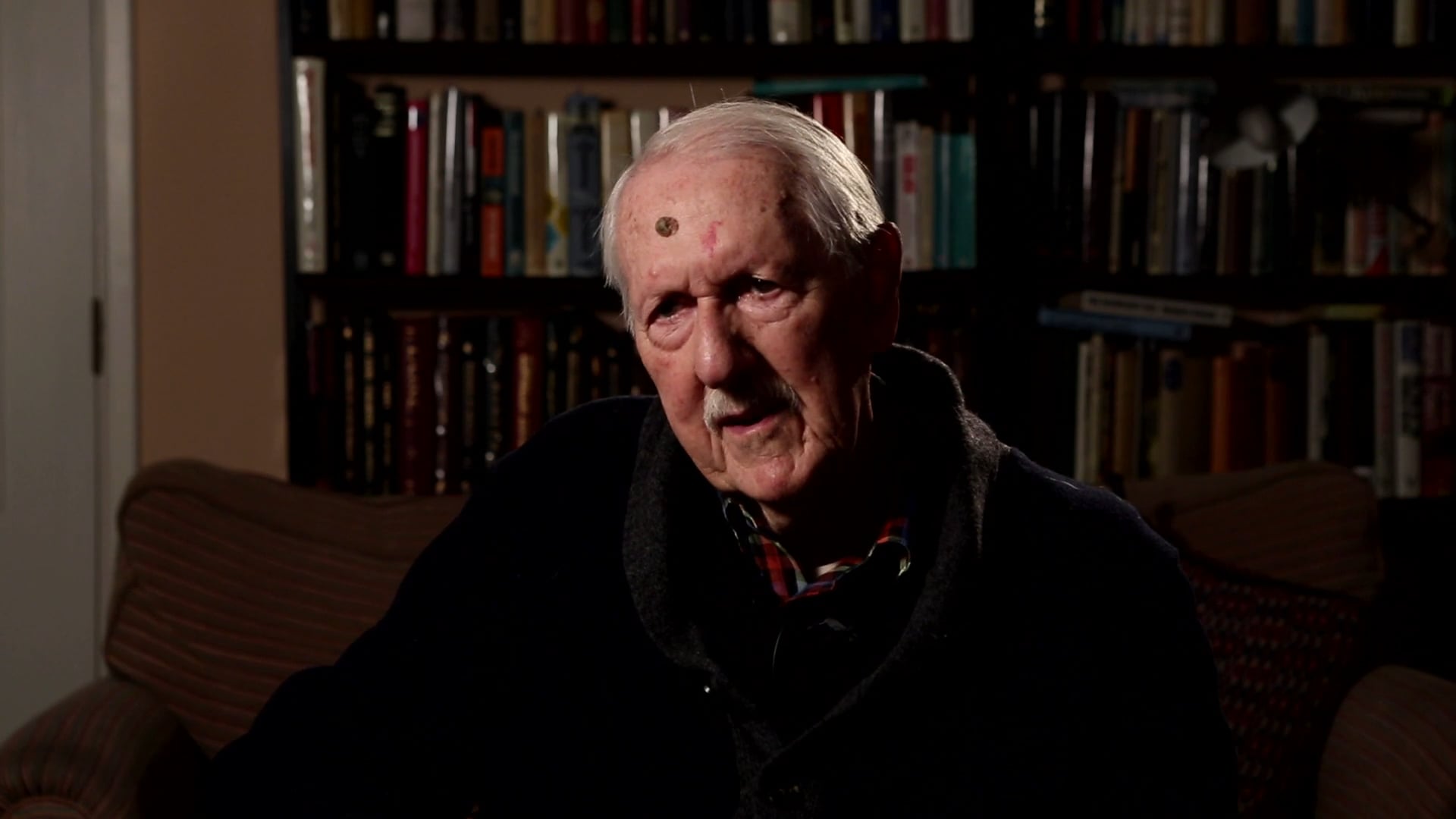 'The Whip Donovan Adventures' by Brian Aldiss (Unbound promo)
