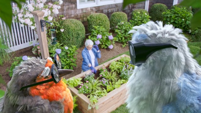 Alcon - Customer Success Story