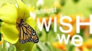 Motion Graphics 1 S10-05