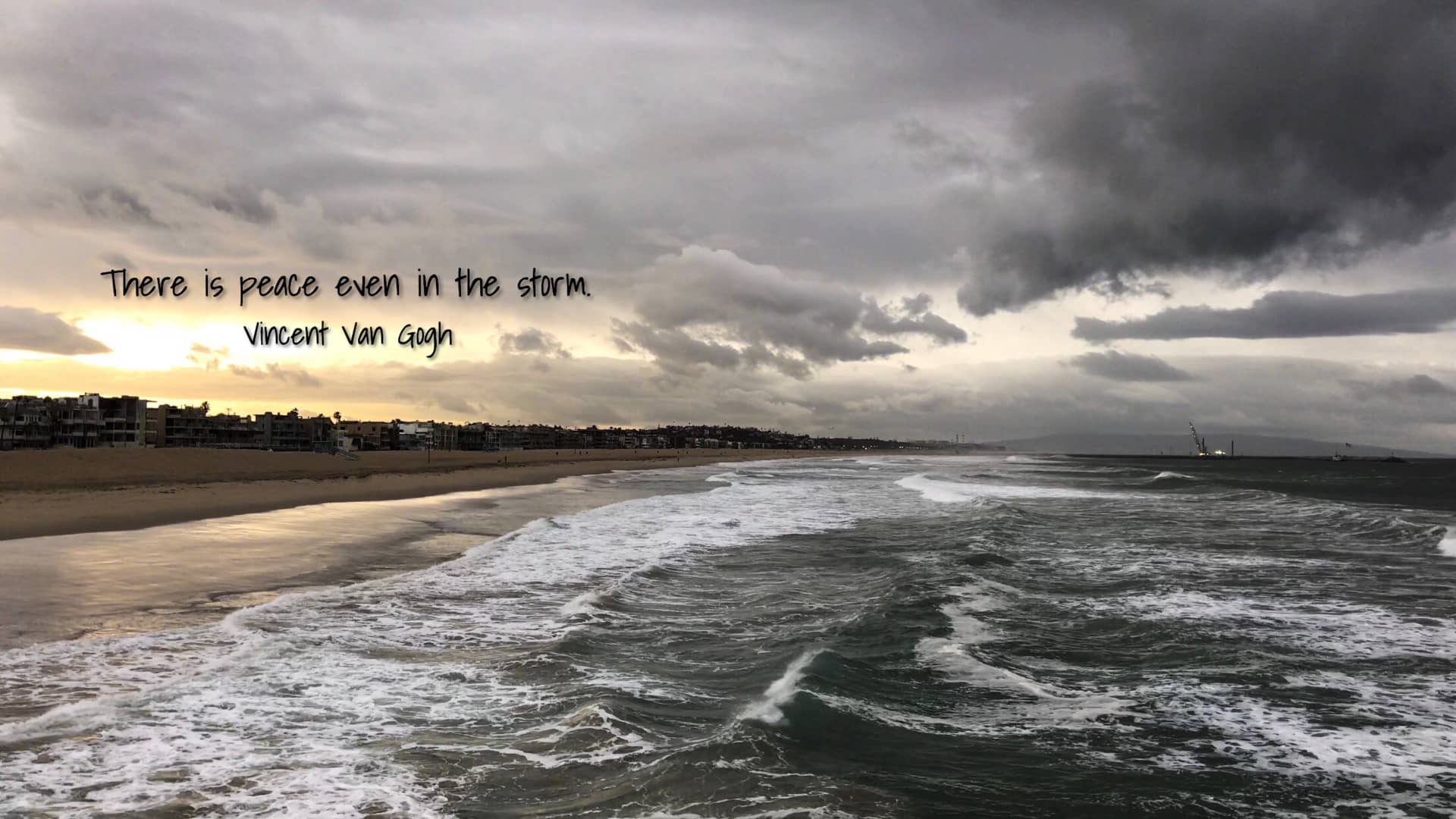 There is peace even in the storm. Vincent Van Gogh on Vimeo