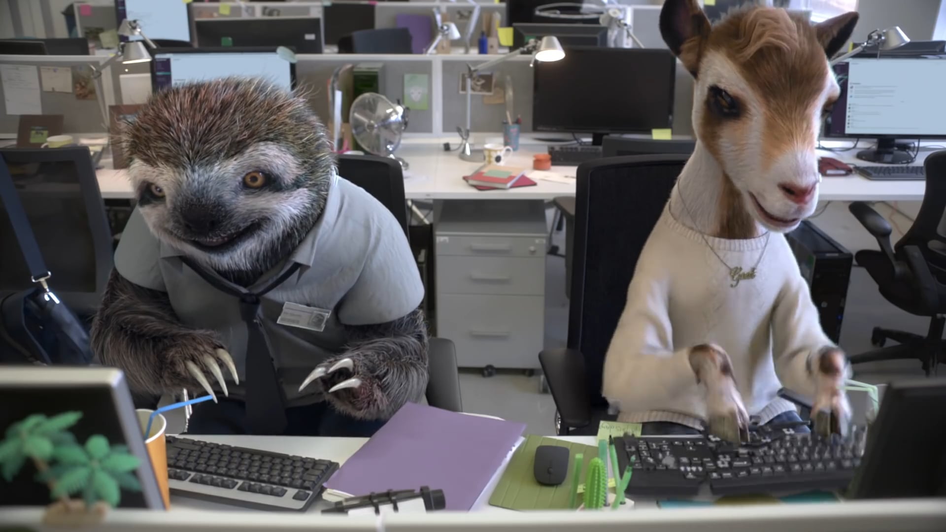 Amazing Teams  Animals - The Bloopers