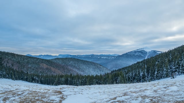 Winter in the Carpathians, Ukraine