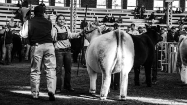 2017 Iowa Beef Expo