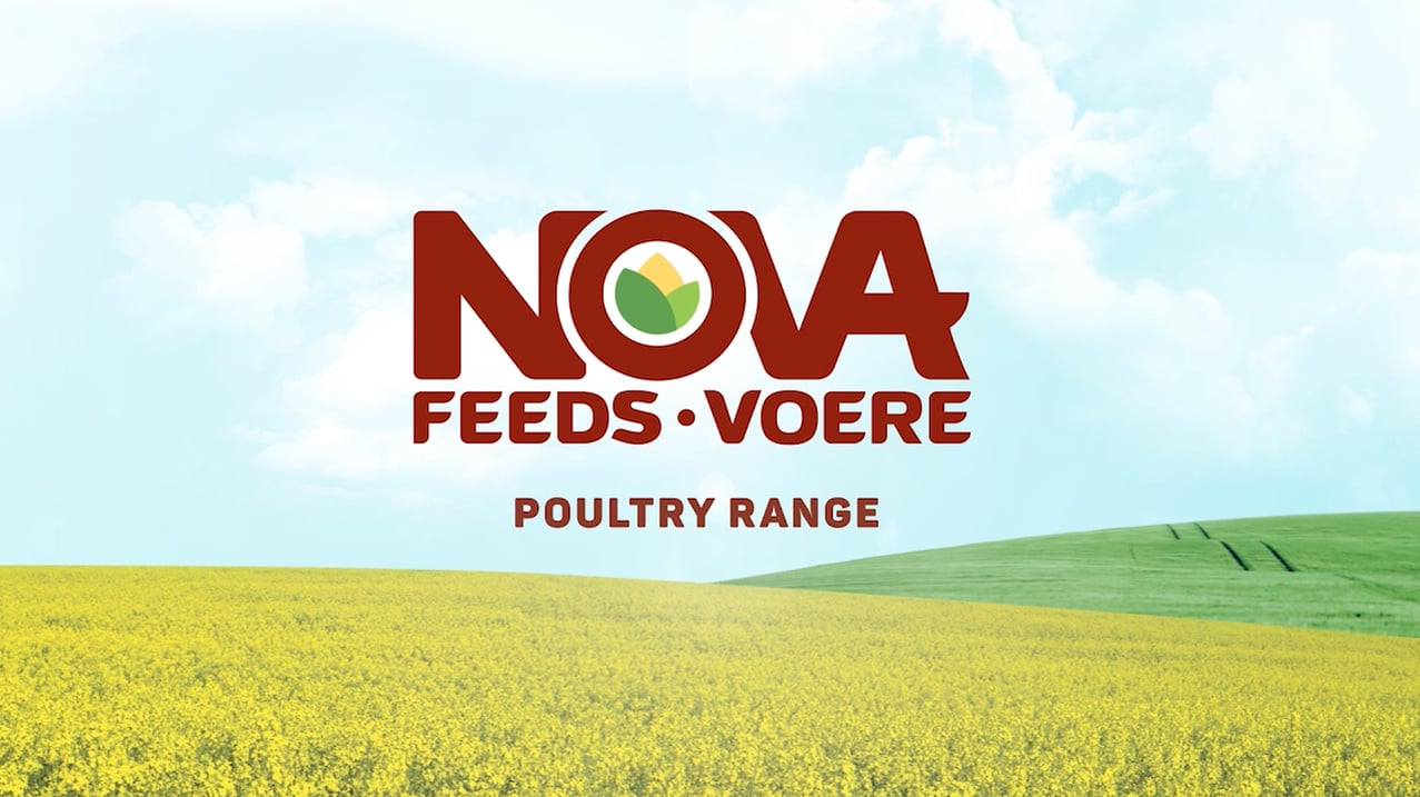 Nova Feeds Poultry Range on Vimeo