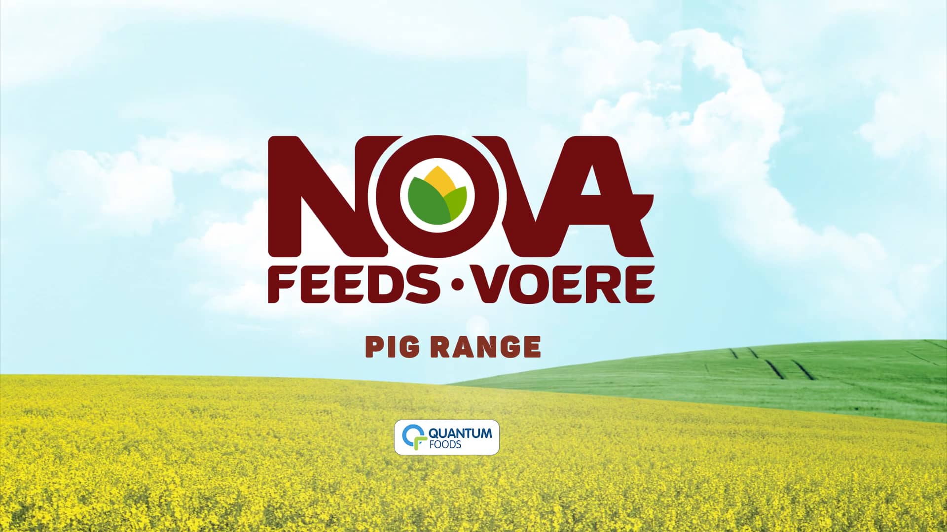Nova Feeds Pig Range on Vimeo