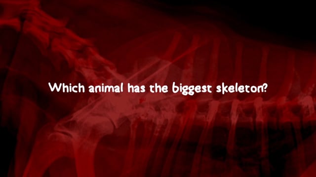 Great North Museum - Customer Success Story