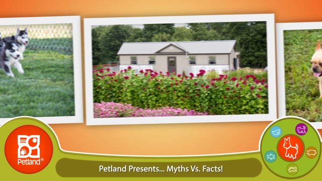 More Myths vs Facts